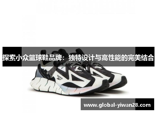 探索小众篮球鞋品牌：独特设计与高性能的完美结合