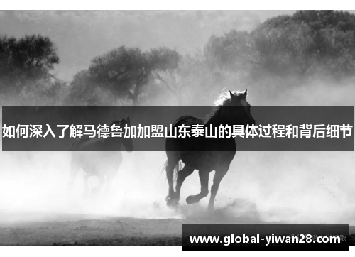 如何深入了解马德鲁加加盟山东泰山的具体过程和背后细节