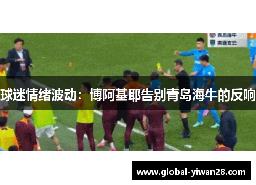 球迷情绪波动：博阿基耶告别青岛海牛的反响