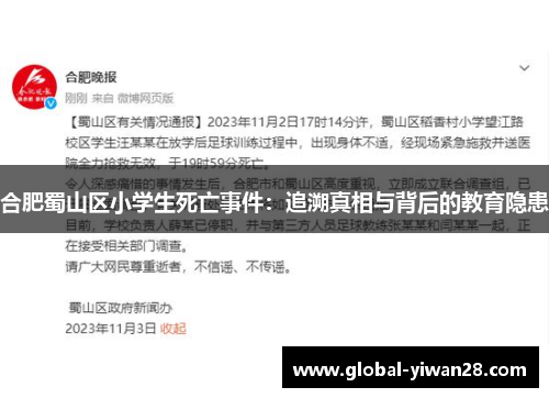 合肥蜀山区小学生死亡事件：追溯真相与背后的教育隐患