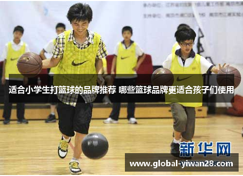 适合小学生打篮球的品牌推荐 哪些篮球品牌更适合孩子们使用