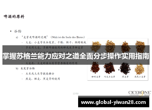 掌握苏格兰能力应对之道全面分步操作实用指南