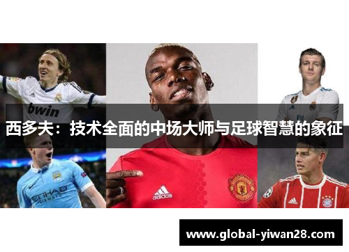 西多夫：技术全面的中场大师与足球智慧的象征