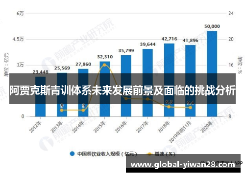 阿贾克斯青训体系未来发展前景及面临的挑战分析